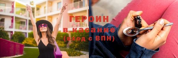 хмурый Аркадак