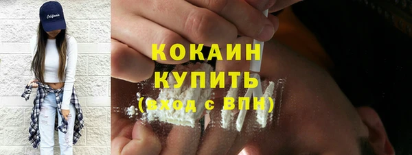хмурый Аркадак