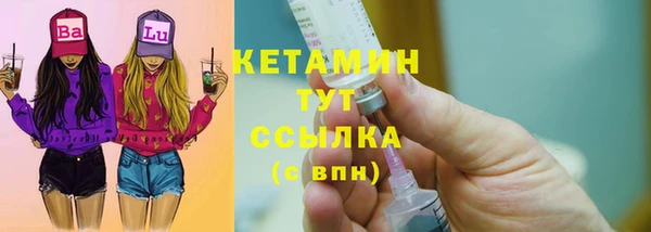 хмурый Аркадак