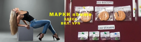 хмурый Аркадак