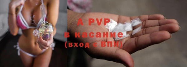 хмурый Аркадак