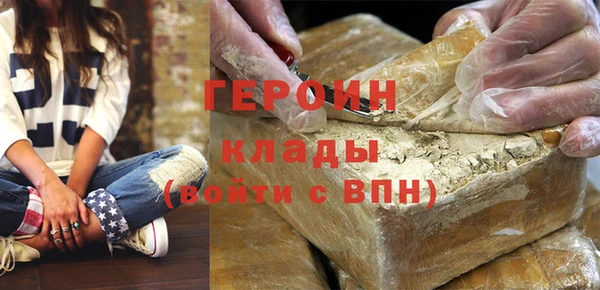 хмурый Аркадак