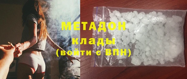 хмурый Аркадак
