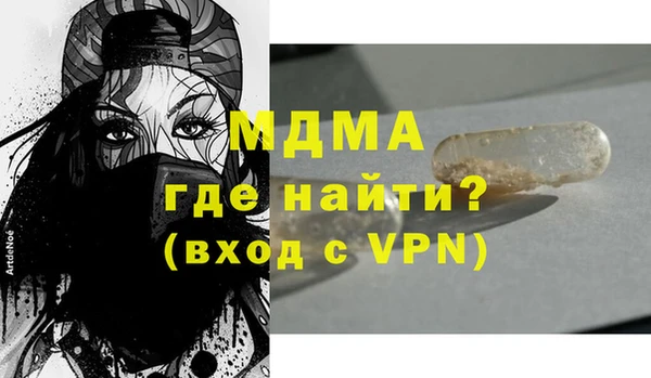 хмурый Аркадак