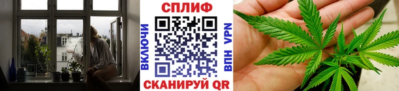 МАРИХУАНА сатива  Купить  Урус-Мартан 